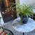 Spider Plant w/ Several Flowering Sprigs  in Blue and White Ceramic 2 thumbnail
