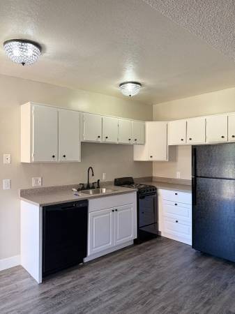$990 / 1br - 550ft2 - Spacious 1 Bedroom Apartment (Colorado Springs, CO)63658264026243122