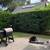 ✅AA PRO Gardening, Landscaping, Trees, Clean Ups, more. Reliable ✅ 10 thumbnail
