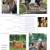 Herd Dispersal 4 thumbnail