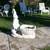 Garden Art Decor 11 thumbnail