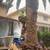 Lopez tree service 13 thumbnail