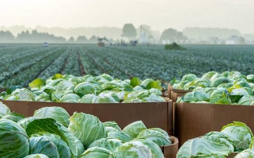 FARM MECHANIC – Full-Time or Part-Time (Permanent) 1