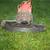 Homelite Corded Weed Whacker with Extra Spools 7 thumbnail