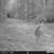 Big Thicket Hunting lease. 6 thumbnail