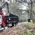 Tree Removal … 6 thumbnail