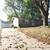 3BR/1BA Split-Level Home in NE Cedar Rapids 1 thumbnail