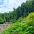 13.5-Acres Abutting River, Covered Bridge, Swimming Hole 11 thumbnail