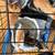Kitties 4 thumbnail
