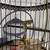 Vintage bird cage / stand 3 thumbnail