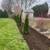 Jr landscaping and tree services 11 thumbnail