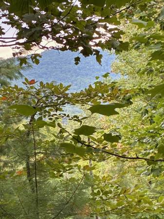 $2,995,000 Propiedad Montañosa Impresionante en el Condado de Fannin, GA 150 acres63661435380227120