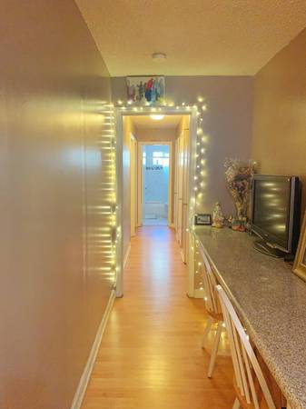 $1,350 Nice Room for rent in mountain view (mountain view)63657846551937123