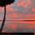 Business FSBO 8 thumbnail
