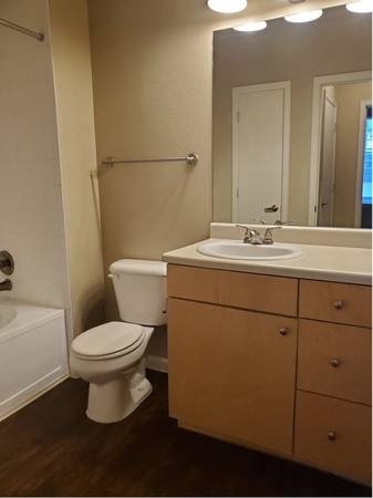 $1,760 / 1br - 591ft2 - Dramatic skyline views and wide open layouts. 1 bed / 1 bath! (Denver - City Park)63973356138626123
