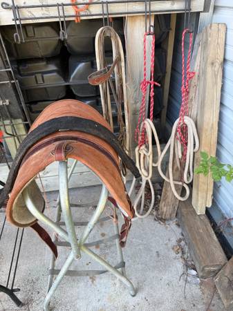 Parelli bareback pad, bridle and halter 1