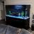 220 gallon aquarium 1 thumbnail
