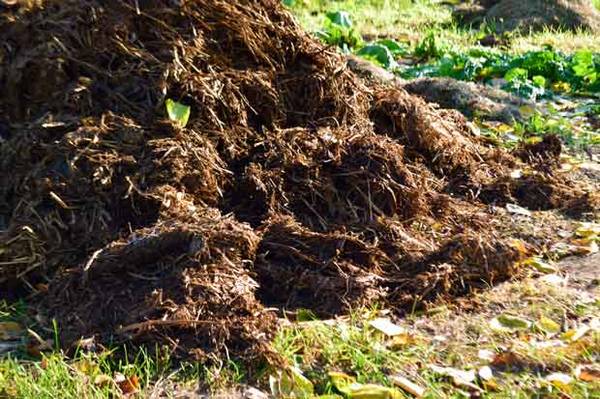 Free Manure Dumpsite - Horse Cow Chicken etc Livestock 1