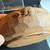 SUPER RARE ROBERT MOUSEMAN THOMPSON GOLDEN OAK NUT BOWL WITH NICE MOUS 9 thumbnail