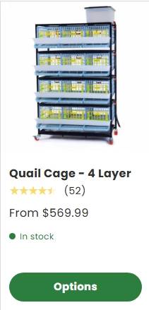 🎄 Just in Time for Christmas! Hatching Time Quail Cage – 4 Layer 1