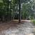 Land Clearing/Forestry Mulching🌳 FREE QUOTES 16 thumbnail