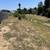 EDDY'S AFFORDABLE  LANDSCAPING TEMECULA & RIVERSIDE AREAS 3 thumbnail