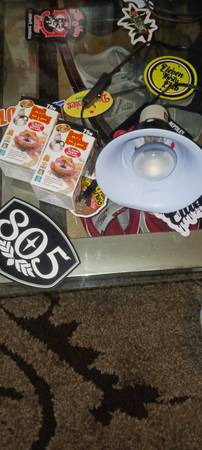 Bearded dragon etc lights 1