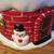 Christmas House Igloo ~ Plastercraft ~ Santa & Snowman ~ Painted 2 thumbnail