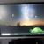 2 desktop pcs with options ( read below ) 2 thumbnail