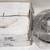 2 BRAND NEW CENTRIC 12168000 CTEK Standard Brake Rotors 2 thumbnail
