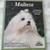 Maltese Pet Owner Manual Book 1 thumbnail