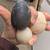 Fresh Duck Eggs 4 thumbnail