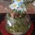TWO  NICE CHAIRS FRANCE SHYLE COFFEE TABLE 2 thumbnail
