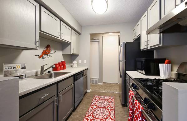$1,410 / 1br - 765ft2 - Fitness Center, 24-Hour Availability, Private Patio / Balcony (14030 Chestnut Dr, Eden Prairie, MN)63666914399105124