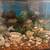 Aquarium 4 thumbnail