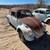VW Bug Bodies 2 thumbnail