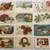 POSTCARDS FROM THE PAST 7 thumbnail