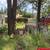🌳🍂ONE-TIME YARD CLEAN-UP – FREE ESTIMATES – CALL/TEXT (916) 821-4150 18 thumbnail