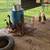 Ducks, Ducklings and Hatching Eggs 2 thumbnail