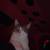 Male cat 1 thumbnail