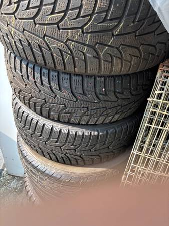 Tree tires 1