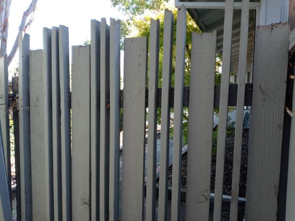 Rosa's Garden and Landscape Service 1