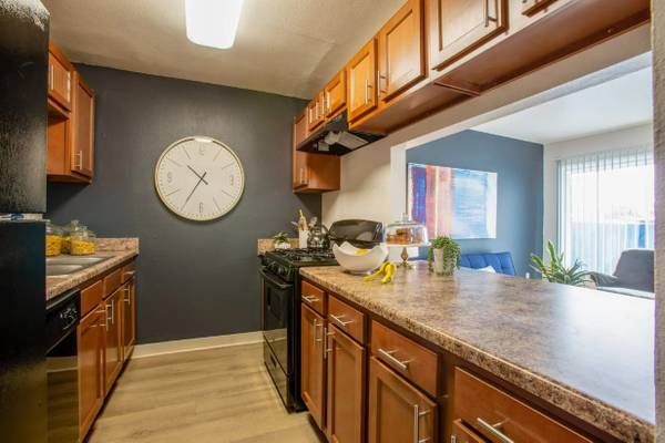 Defined Dining Area, Soaring High Ceilings 1