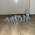 home decor: home/ family photo holder/ together deco 5 thumbnail