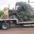 🫒 GIANT 150+ YEAR OLD SUPER GNARLY TRUNK OLIVE TREES GIANT SAVIINGS🫒 9 thumbnail