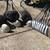 Women’s golf  equipment 3 thumbnail