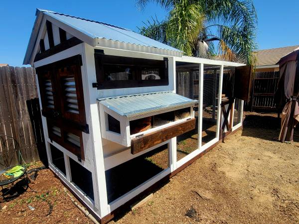 Hobbyist with free time 1