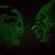 R MARINO  vintage 90s 3D GLOW IN THE DARK  wall heads 20 thumbnail
