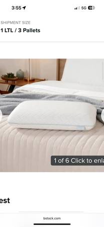 Crafters Flea Marketers Pillows Sealy Comfort 10 Pillows $70 1