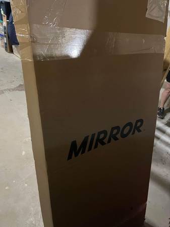 The Mirror by Lululemon 1